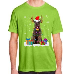 Cute Schnauzer Dog Christmas Lights Santa Hat Xmas Holidays Great Gift Adult ChromaSoft Performance T-Shirt