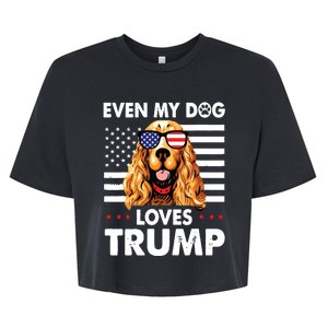 Cocker Spaniel Even My Dog Loves Trump Funny Bella+Canvas Jersey Crop Tee