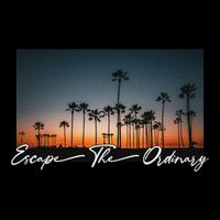 Cute Summer Escape Palm Trees Sunset Vibes Button