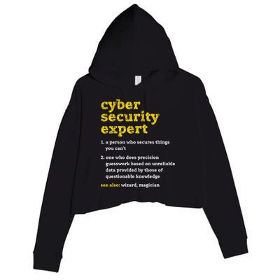 Cyber Security Expert Definition Distressed Computer Geek Gift Crop Fleece Hoodie
