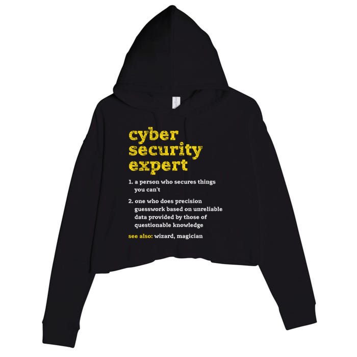 Cyber Security Expert Definition Distressed Computer Geek Gift Crop Fleece Hoodie