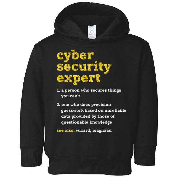 Cyber Security Expert Definition Distressed Computer Geek Gift Toddler Hoodie