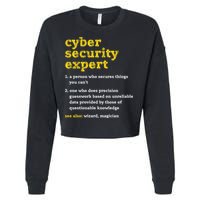 Cyber Security Expert Definition Distressed Computer Geek Gift Cropped Pullover Crew