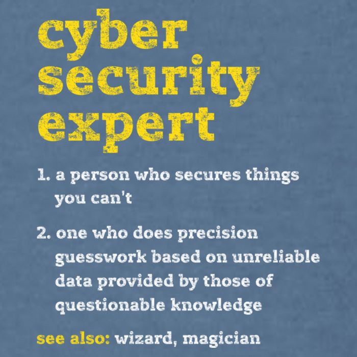 Cyber Security Expert Definition Distressed Computer Geek Gift Garment-Dyed Sweatshirt
