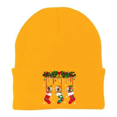 Christmas Santa Elf Reindeer Lover Guinea Pig In Xmas Socks Knit Cap Winter Beanie