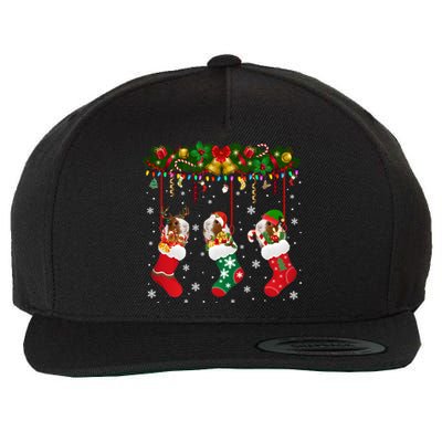 Christmas Santa Elf Reindeer Lover Guinea Pig In Xmas Socks Wool Snapback Cap