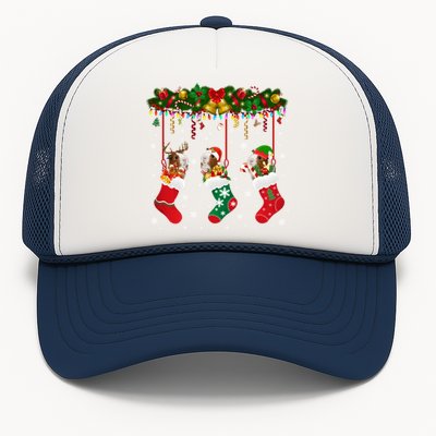 Christmas Santa Elf Reindeer Lover Guinea Pig In Xmas Socks Trucker Hat