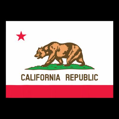 California State Flag T T-Shirt