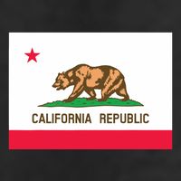 California State Flag T 25L Jumbo Tote