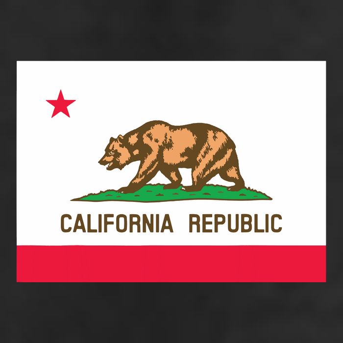 California State Flag T 25L Jumbo Tote