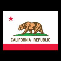 California State Flag T Cropped Pullover Crew