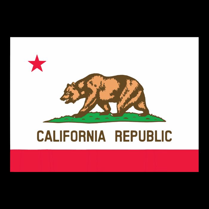 California State Flag T Cropped Pullover Crew
