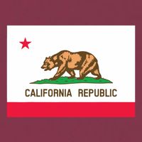 California State Flag T 16oz Travel Tumbler