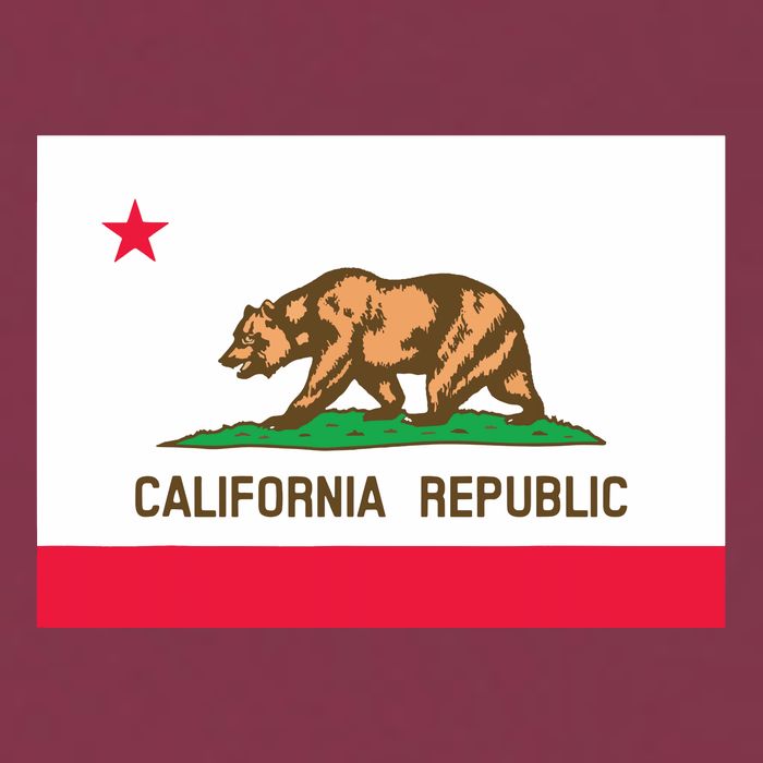 California State Flag T 16oz Travel Tumbler