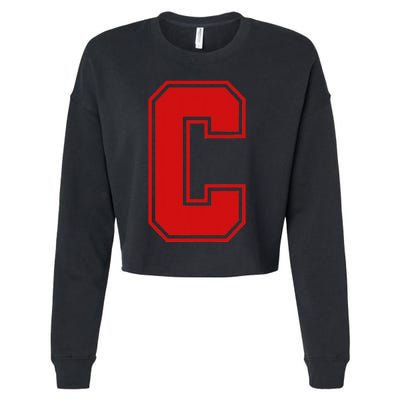 C School Fan Sports Teachers Students Cropped Pullover Crew