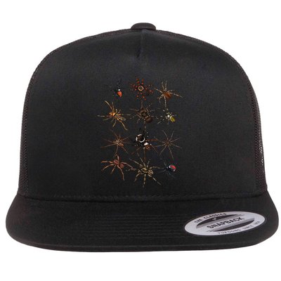 Cool Spider For Women Arachnid Spooky Scary Halloween Flatbill Hat