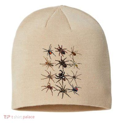 Cool Spider For Women Arachnid Spooky Scary Halloween Sustainable Beanie