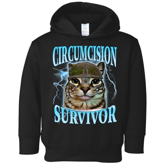 Circumcision Survivor Funny Oddly Specific Cat Meme Cats Toddler Hoodie