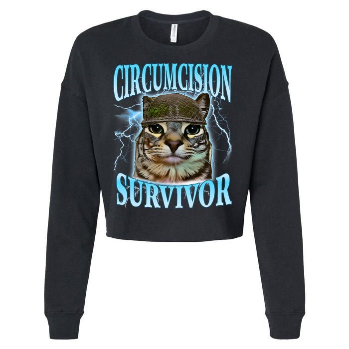 Circumcision Survivor Funny Oddly Specific Cat Meme Cats Cropped Pullover Crew