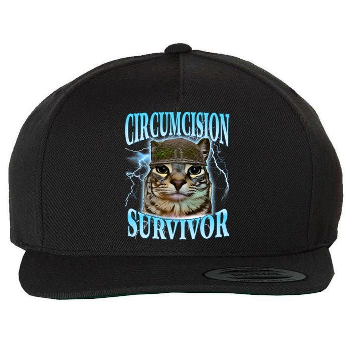 Circumcision Survivor Funny Oddly Specific Cat Meme Cats Wool Snapback Cap