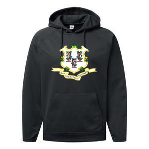 Connecticut State Flag Performance Fleece Hoodie