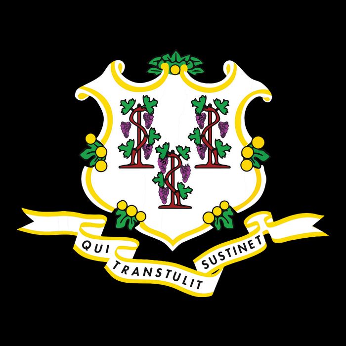 Connecticut State Flag City Backpack
