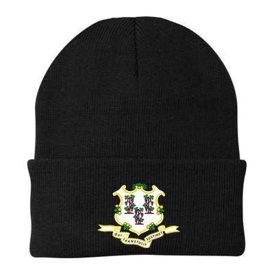 Connecticut State Flag Beanie