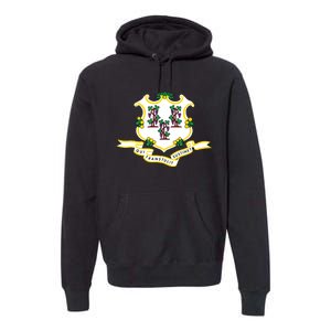 Connecticut State Flag Premium Hoodie