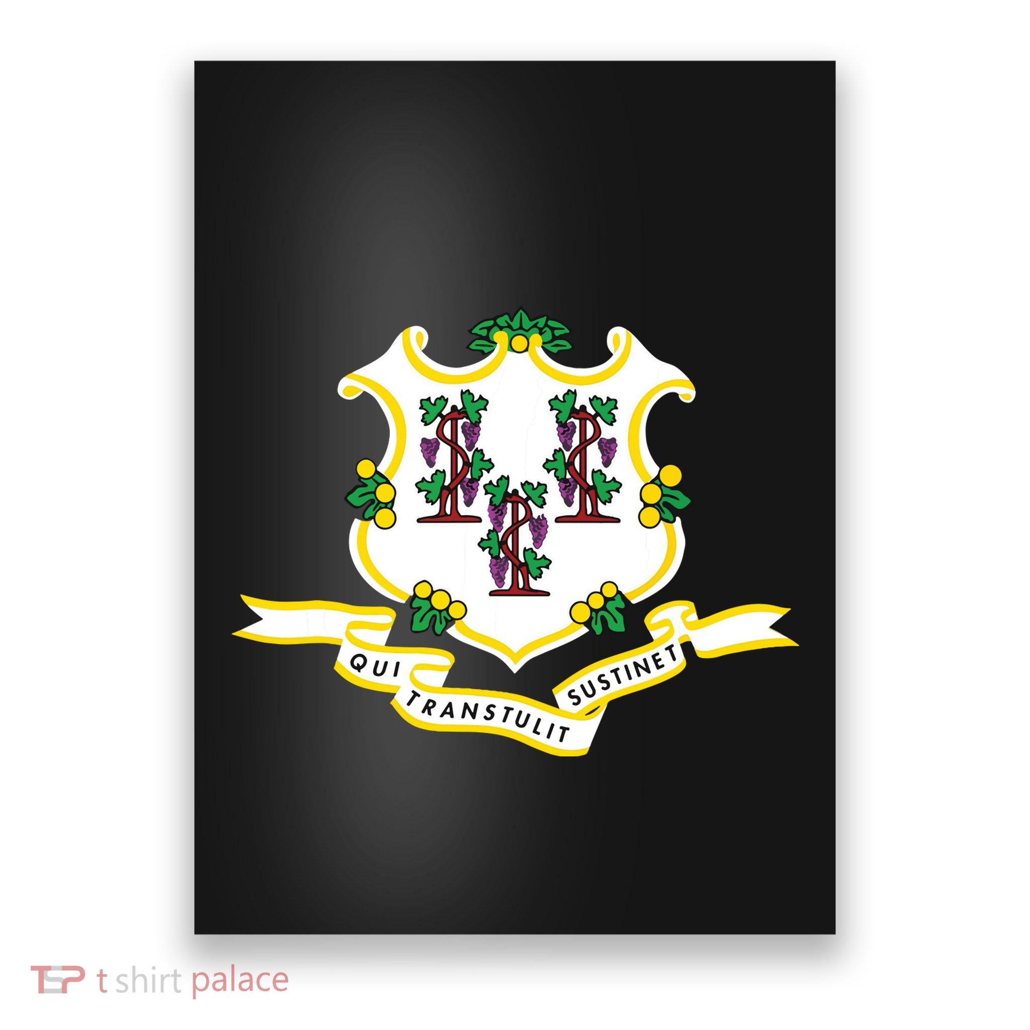 Connecticut State Flag Poster