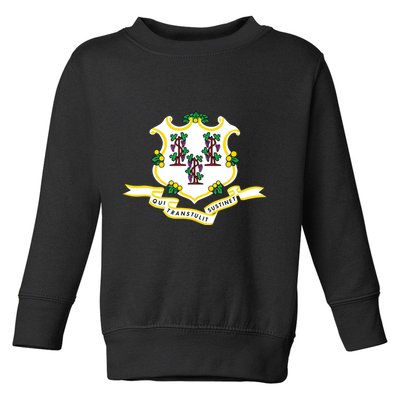 Connecticut State Flag Toddler Sweatshirt