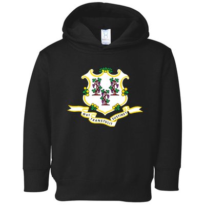 Connecticut State Flag Toddler Hoodie