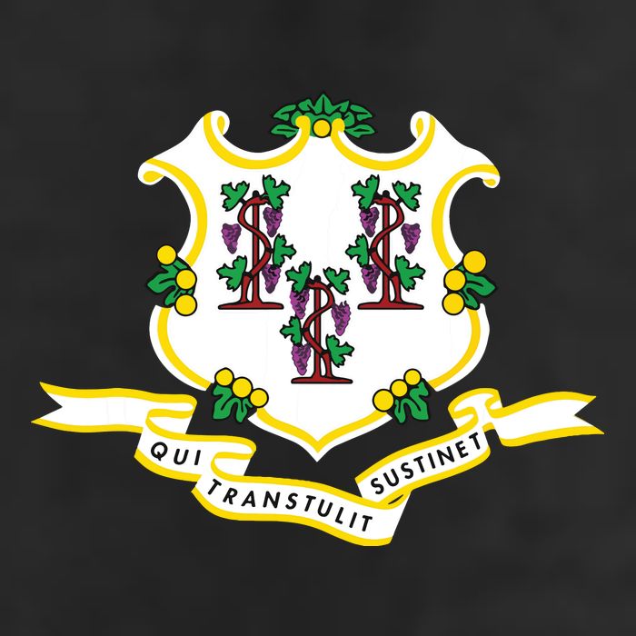Connecticut State Flag Golf Towel