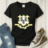 Connecticut State Flag Womens T-Shirt