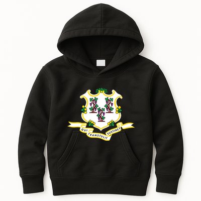 Connecticut State Flag Kids Hoodie