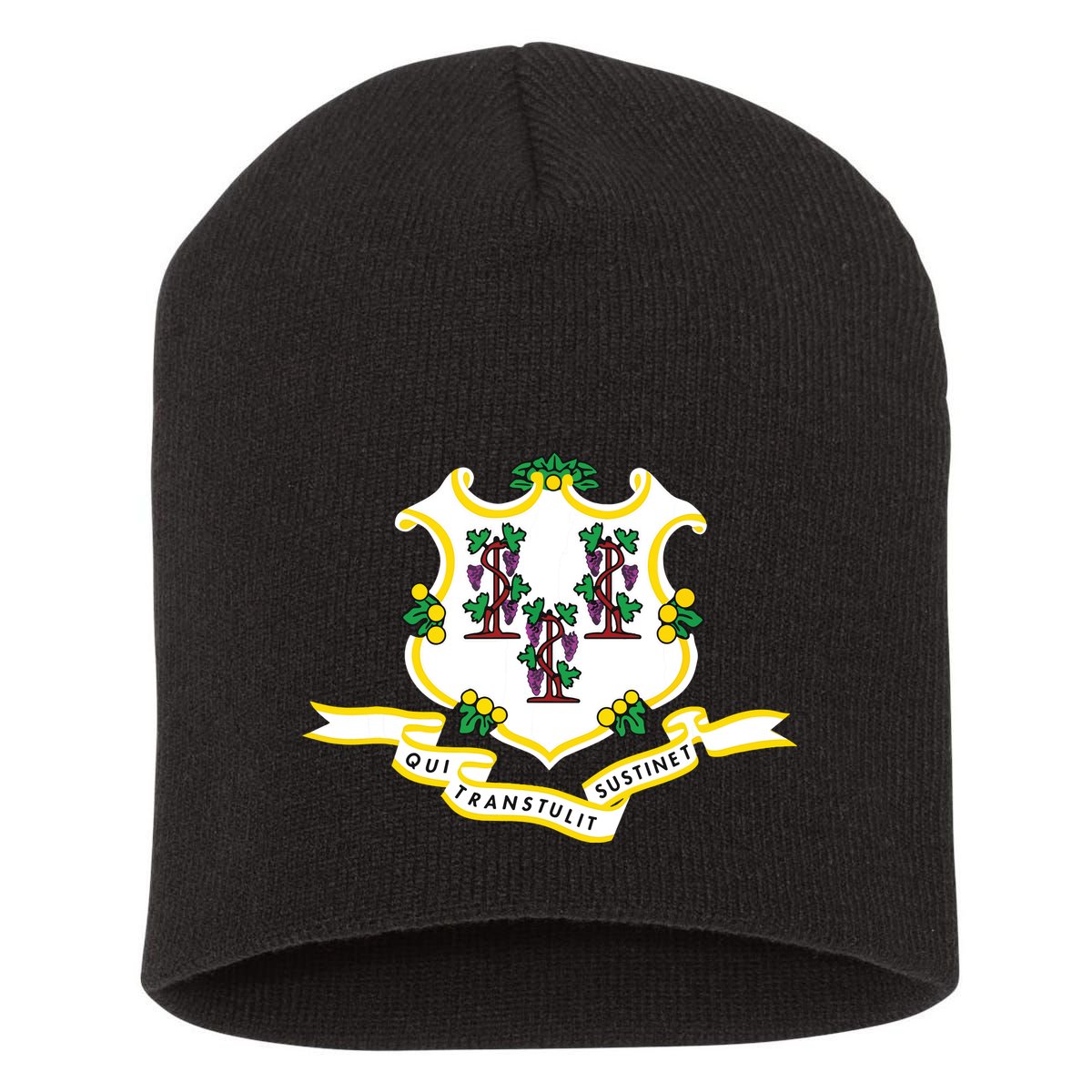 Connecticut State Flag Short Acrylic Beanie