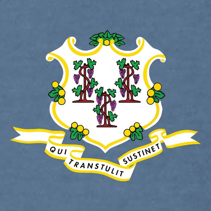 Connecticut State Flag Garment-Dyed Sweatshirt