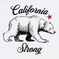 California Strong Grizzly Bear Gift Cooling Performance Crew T-Shirt