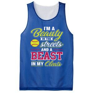 Cute Softball Gift For Softball Players Mesh Reversible Basketball Jersey Tank