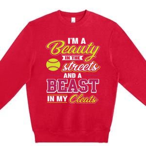 Cute Softball Gift For Softball Players Premium Crewneck Sweatshirt