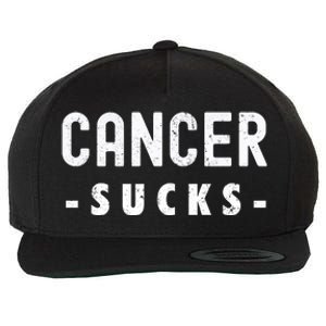 Cancer Sucks Gift Hooded Cancer Gift Wool Snapback Cap