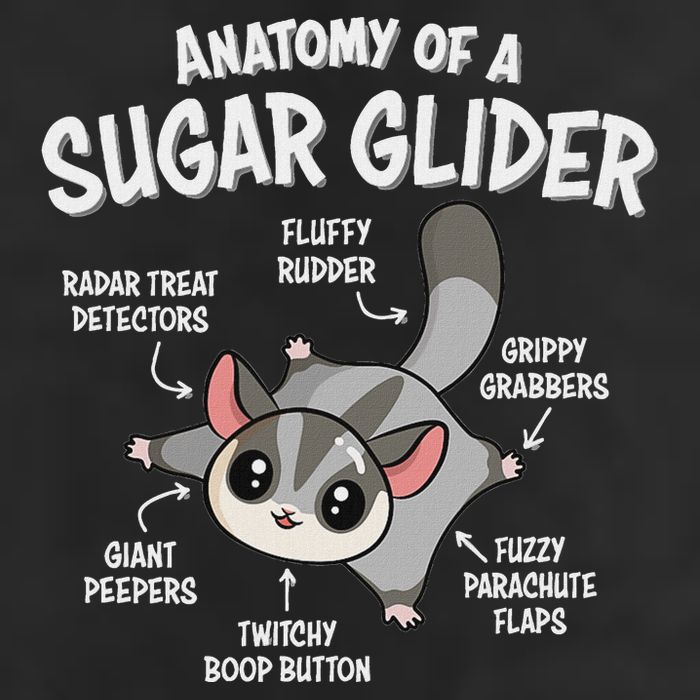 Cute Sugar Glider Lover 7 Panel Mesh Trucker Snapback Hat
