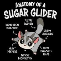 Cute Sugar Glider Lover 16 in Basic Backpack