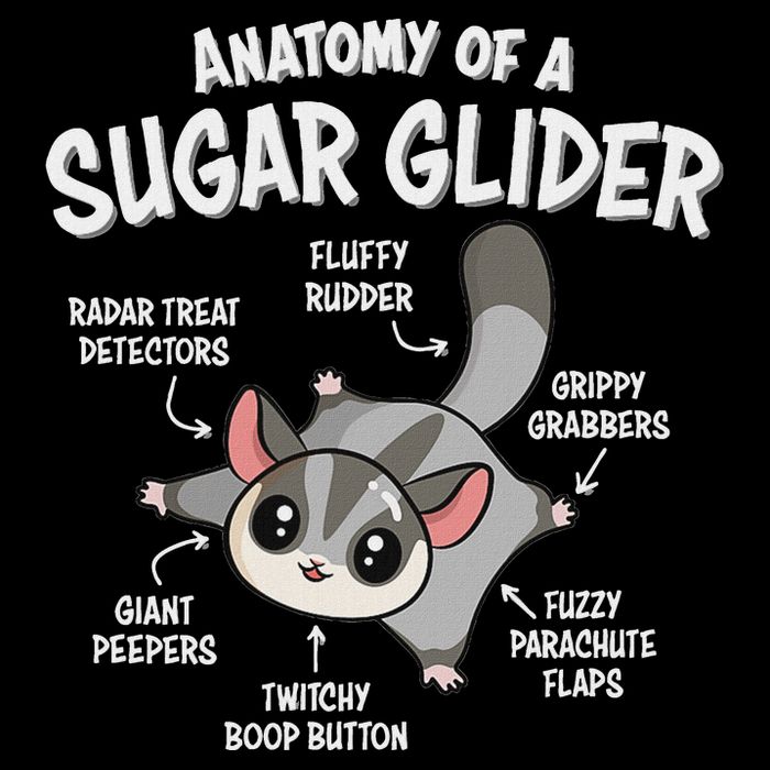 Cute Sugar Glider Lover 16 in Basic Backpack