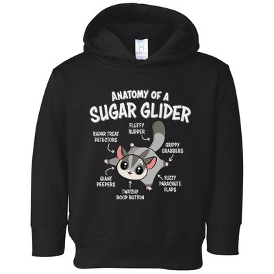Cute Sugar Glider Lover Toddler Hoodie