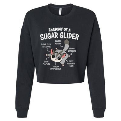 Cute Sugar Glider Lover Cropped Pullover Crew