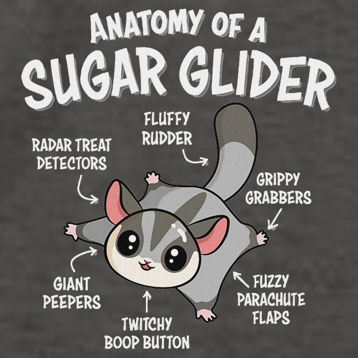 Cute Sugar Glider Lover Vector Backpack