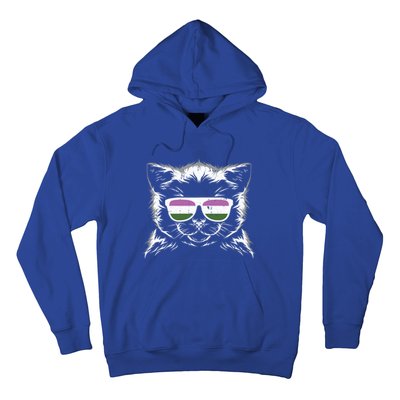 Cat Sunglasses Genderqueer Pride Kitten Lgbtq Proud Ally Gift Hoodie