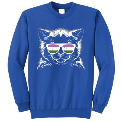 Cat Sunglasses Genderqueer Pride Kitten Lgbtq Proud Ally Gift Tall Sweatshirt