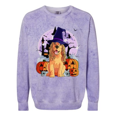 Cocker Spaniel Happy Halloween Dog Witch Pumpkin Colorblast Crewneck Sweatshirt