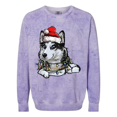 Cute Siberian Husky Santa Christmas Tree Lights Xmas Gift Colorblast Crewneck Sweatshirt